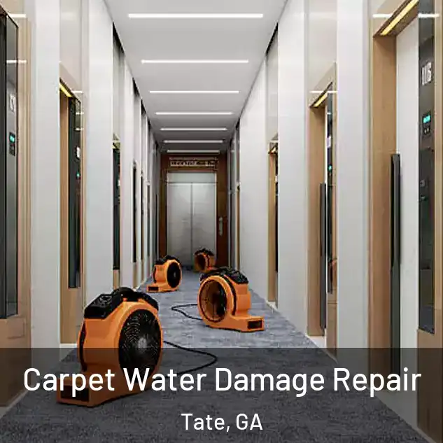  Carpet Water Damage Repair Tate, GA