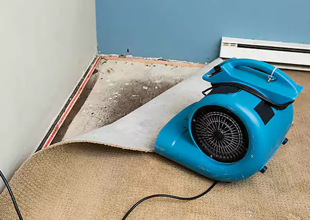 Your Water Damage Experts in Tate, GA