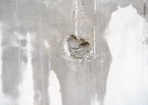 Your Mold Mitigation Solutions Partner in Tate, GA