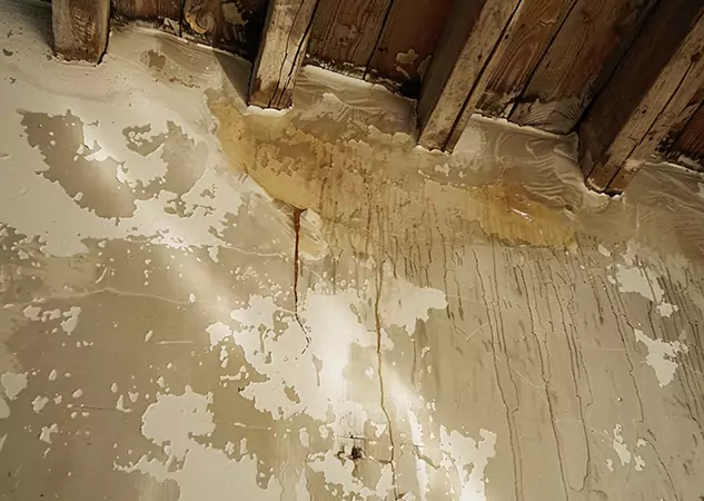 Your Trusted Restoration Company in Tate, GA