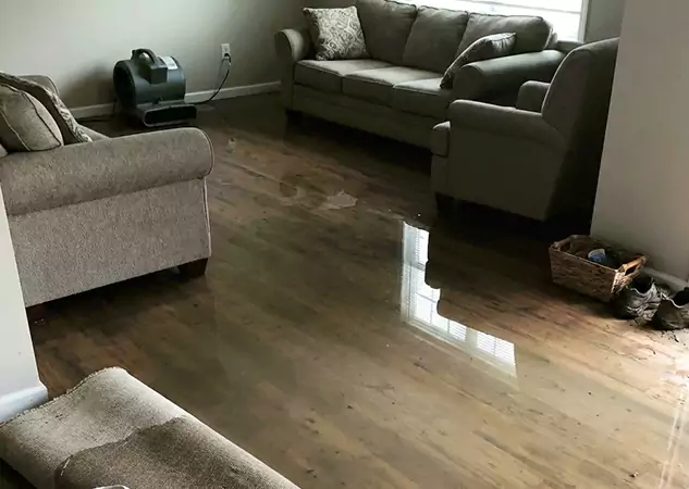 Your Trusted Restoration Company in Tate, GA