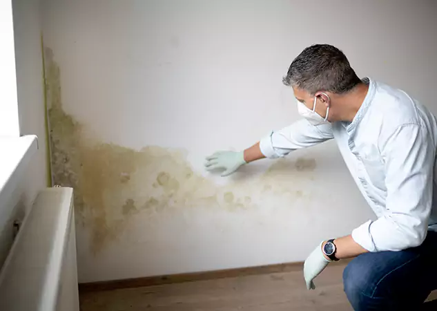 Reach Our Remediation Team Before Damage Grows in Tate, GA!