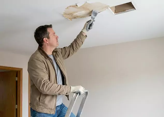 Your Ceiling Damage Repair Experts in Tate, GA