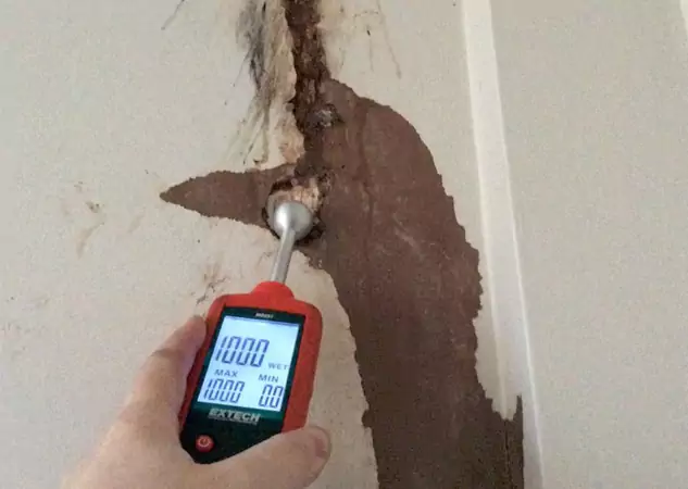 Your Water Damage Assessment Partner in Tate, GA