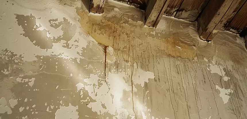 Professional Attic Water Damage Repair Services in Tate, GA