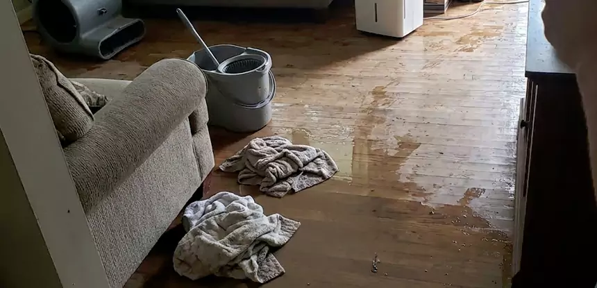 Professional Basement Water Remediation Services in Tate, GA