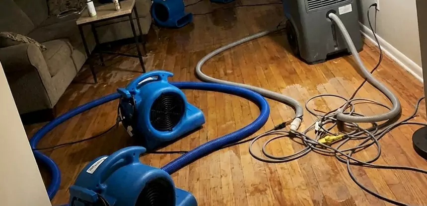 Basement Flood Restoration Services in Tate