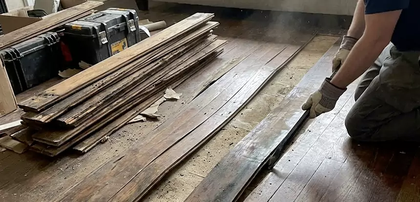 Wood Rot and Fungus Repair in Tate