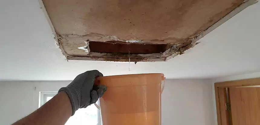 Ceiling Mold Repair Tate