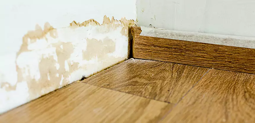 Professional Fix Water Damaged Wood Services in Tate, GA