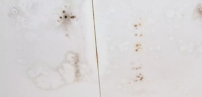 Professional Water Stain Repair Services in Tate, GA