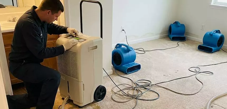 Professional Wet Carpet Removal Services in Tate, GA