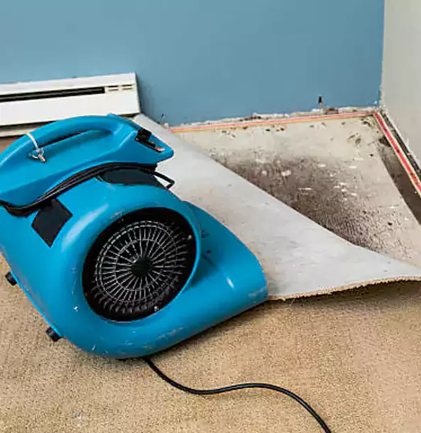 Why Tate Trusts Tate Restoration Pro for Carpet Flood Recovery?
