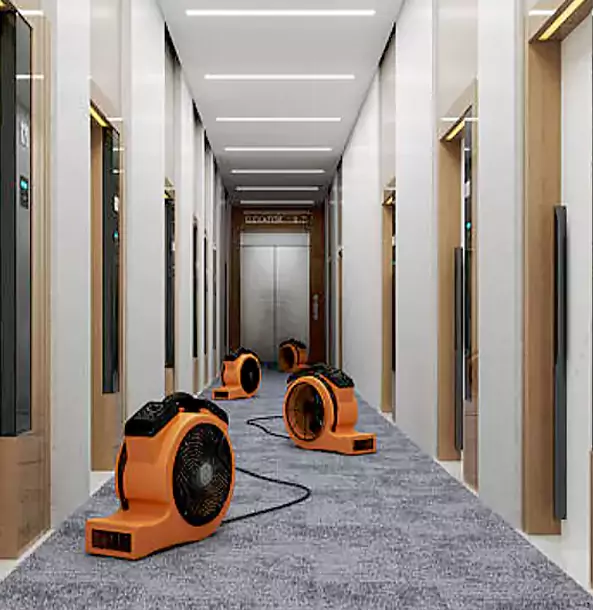 Why Tate Trusts Tate Restoration Pro?