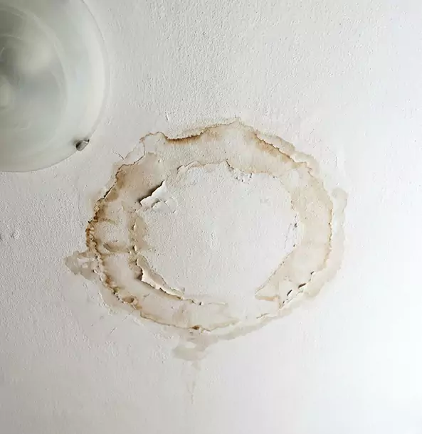 Why Tate Property Owners Choose Tate Restoration Pro for Ceiling Water Damage Restoration?