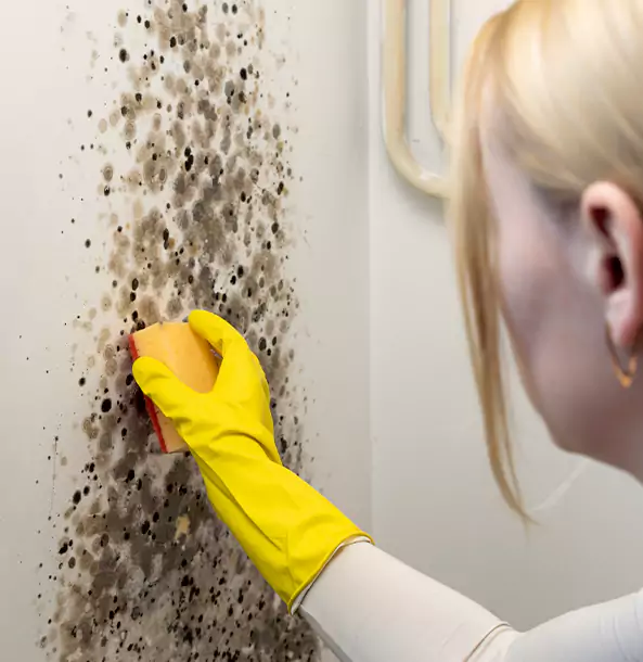 Why Tate Restoration Pro Leads Mold Remediation in Tate?