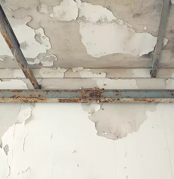 Why Tate Restoration Pro Is the Right Choice in Tate, GA?