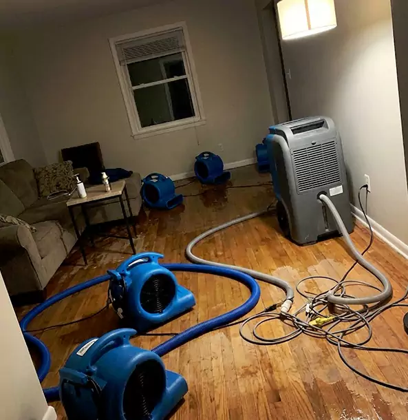 Why Tate Property Owners Rely on Tate Restoration Pro for Remediation?