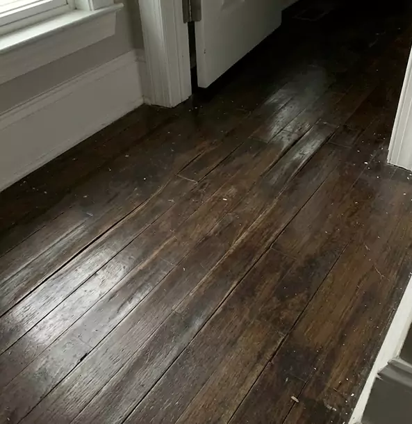 Why Tate Homeowners Trust Tate Restoration Pro to Fix Water Damaged Wood?