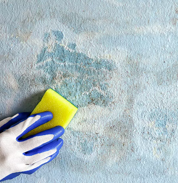 Why Tate Restoration Pro Is the Right Choice in Tate, GA?