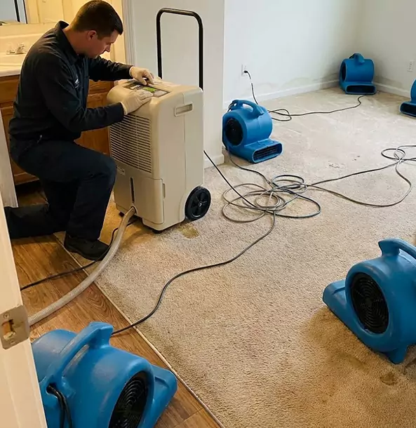 Why Tate Homeowners and Businesses Trust Tate Restoration Pro for Carpet Drying?