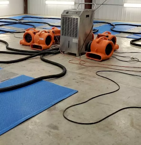 Why Tate Homeowners and Businesses Choose Tate Restoration Pro for Wet Carpet Removal?