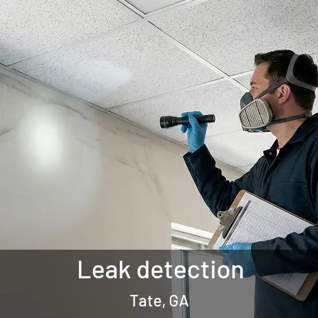  Leak detection Tate, GA