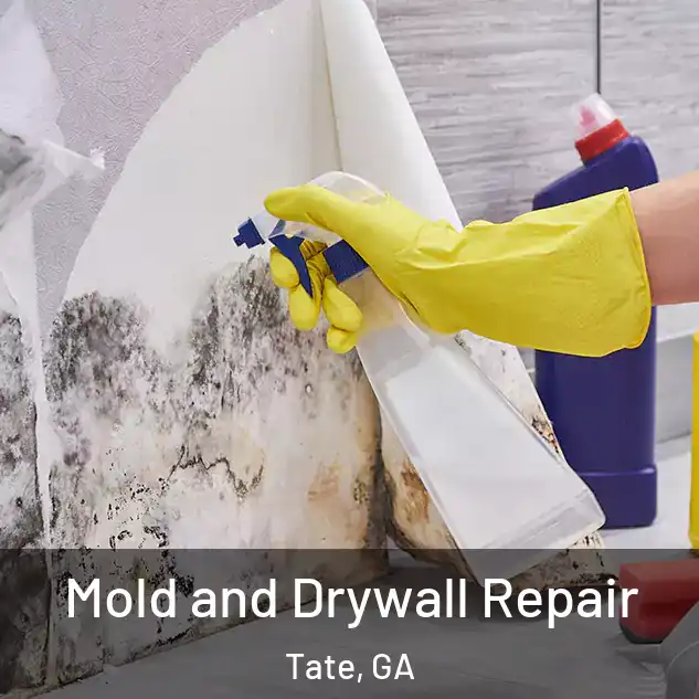  Mold and Drywall Repair Tate, GA