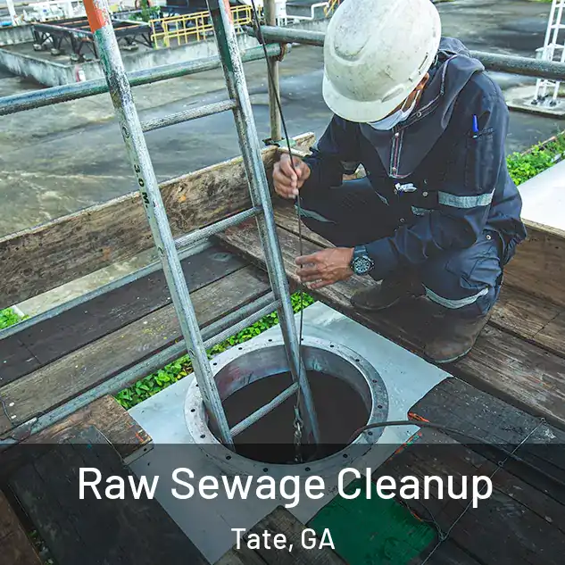  Raw Sewage Cleanup Tate, GA