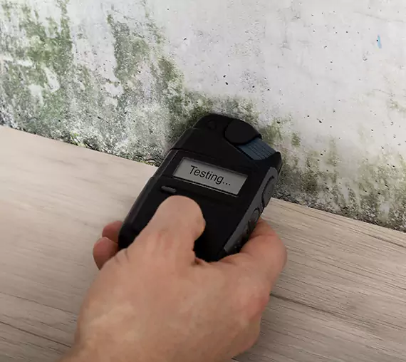 Mold Remediation Service Tate