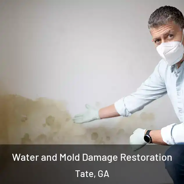  Water and Mold Damage Restoration Tate, GA