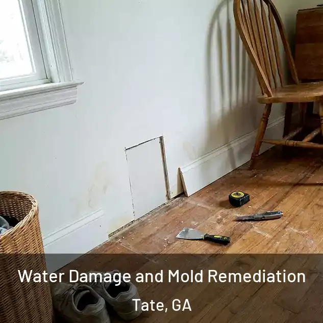  Water Damage and Mold Remediation Tate, GA