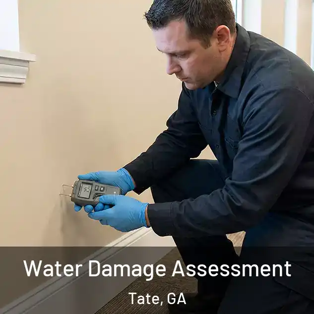  Water Damage Assessment Tate, GA