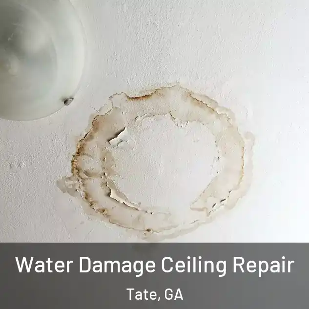  Water Damage Ceiling Repair Tate, GA