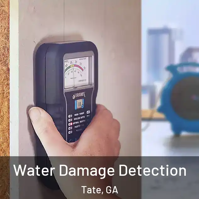  Water Damage Detection Tate, GA