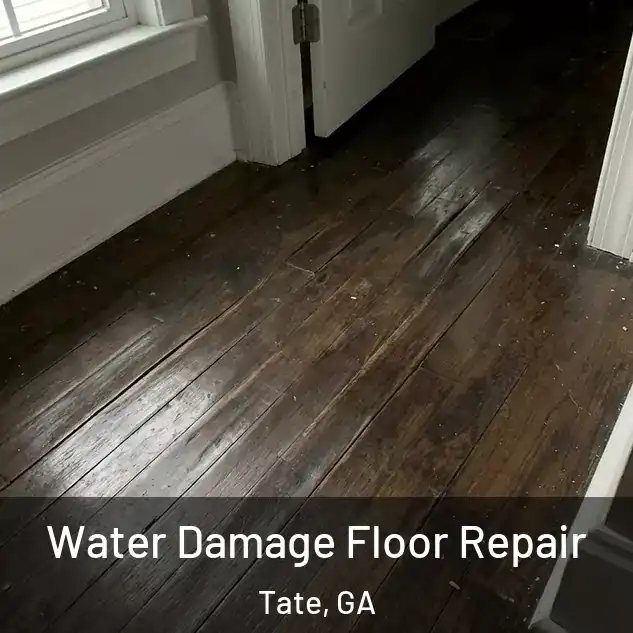  Water Damage Floor Repair Tate, GA