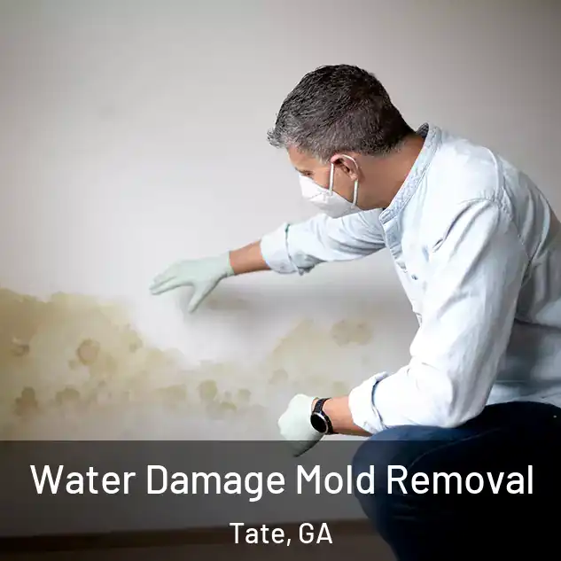  Water Damage Mold Removal Tate, GA