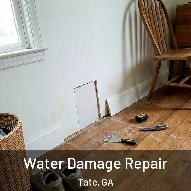  Water Damage Repair Tate, GA