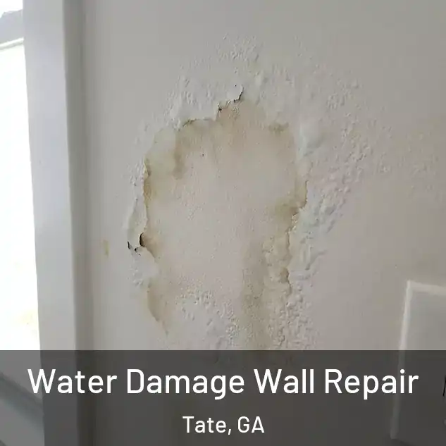  Water Damage Wall Repair Tate, GA