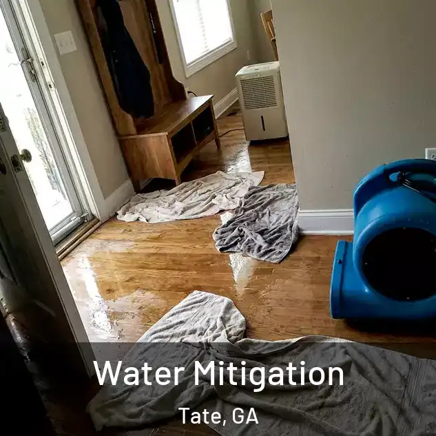  Water Mitigation Tate, GA