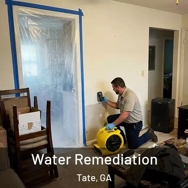  Water Remediation Tate, GA