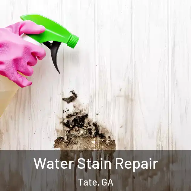  Water Stain Repair Tate, GA