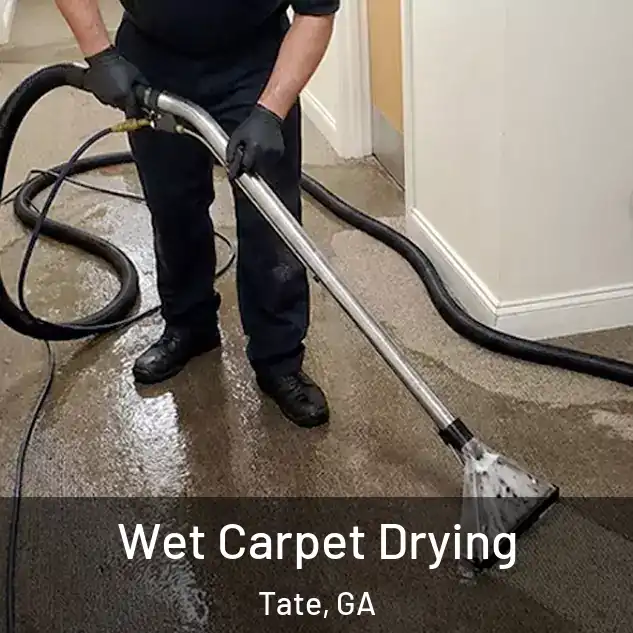  Wet Carpet Drying Tate, GA