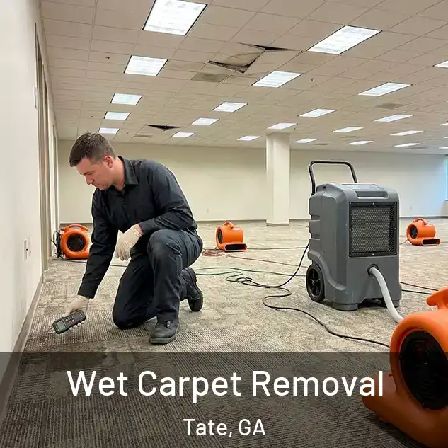  Wet Carpet Removal Tate, GA